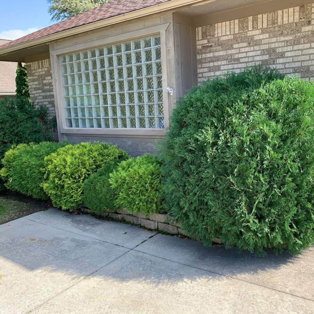 landscaping services