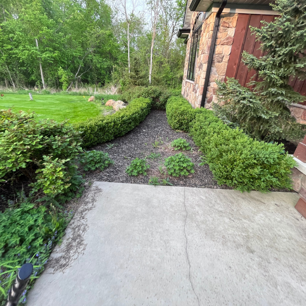 landscaping services near me