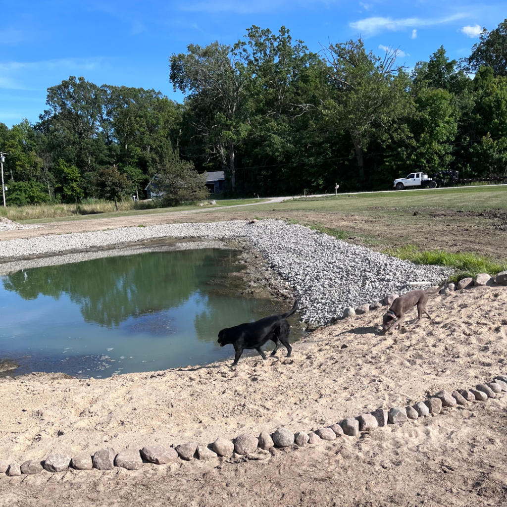 pond landscaping