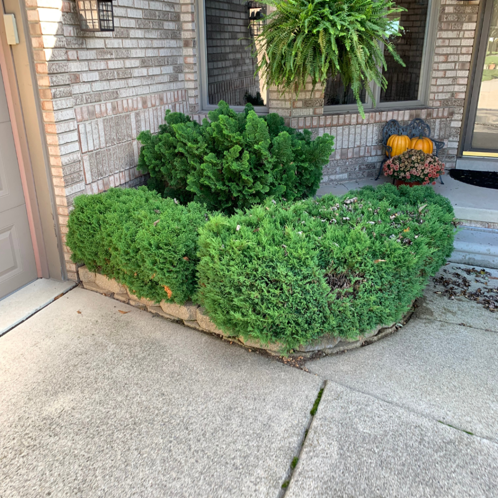 shrub planting services michigan 